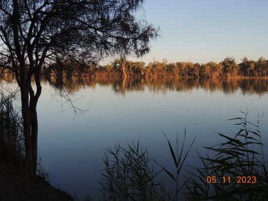 Lyrup Flats Murray